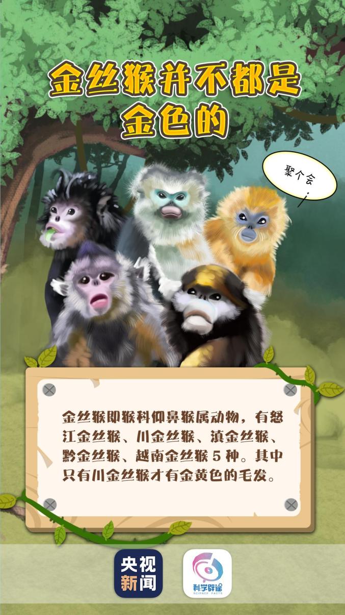 今天是世界野生动植物日!