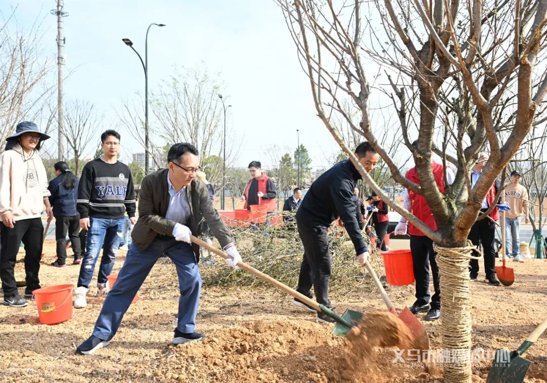 植树添新绿，不负好春光！市领导带头义务植树 澎湃号·政务 澎湃新闻 The Paper