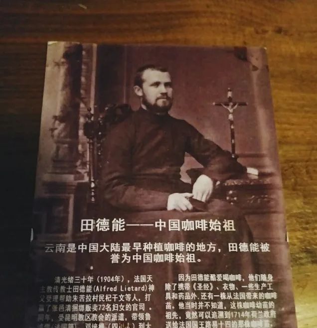 星期天在家逛植物园是件正经事儿_澎湃号·湃客_澎湃新闻-The Paper