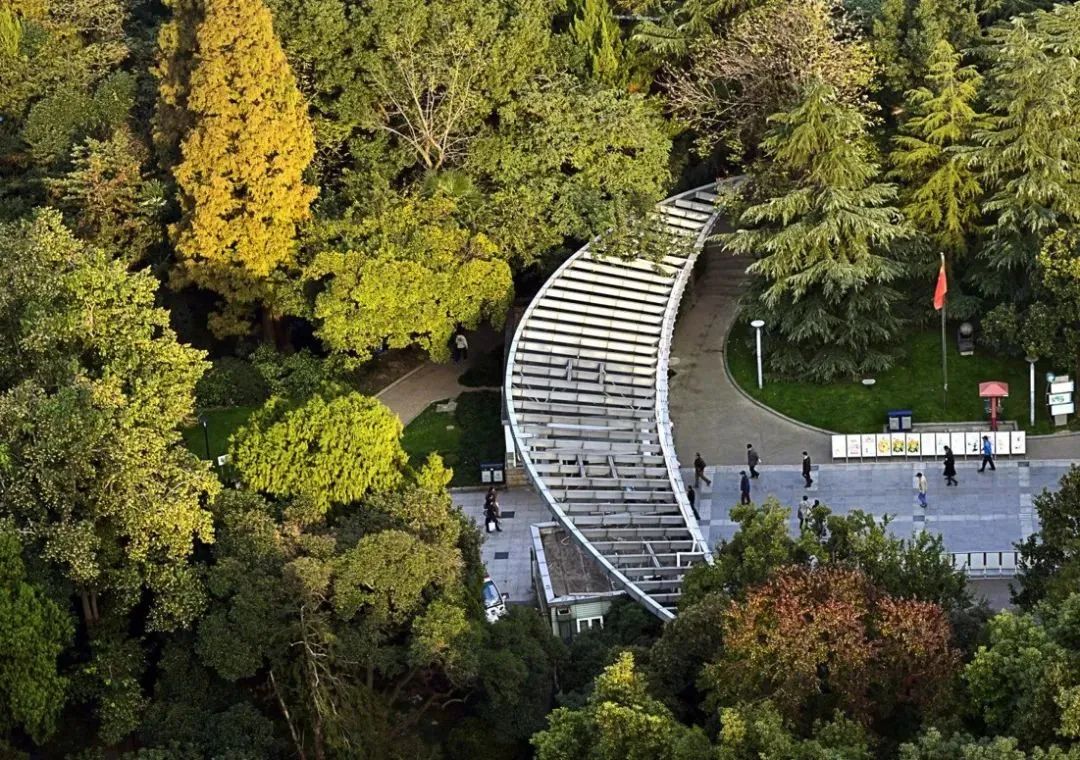 中山公园被命名为首批"上海市新时代文明实践公园"