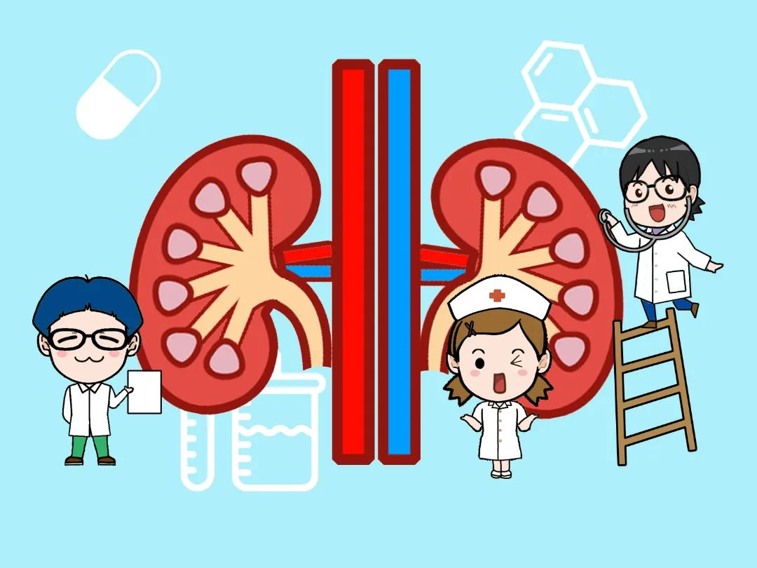 3·9世界肾脏日 人人享有肾脏健康 应对突发风险