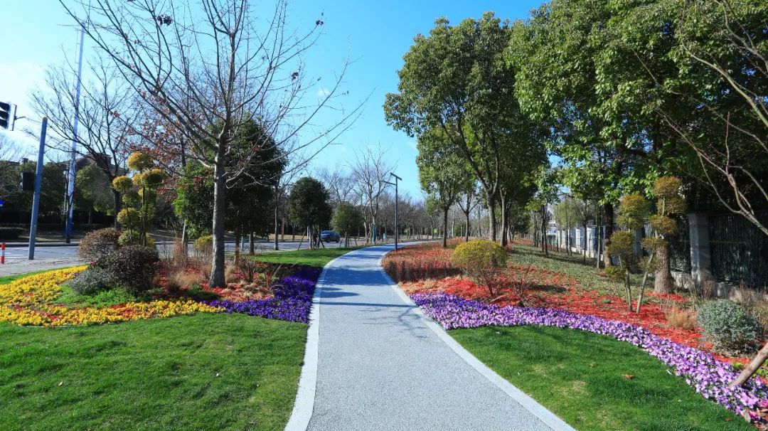 闵行2022年新建34座口袋公园,均已开放,部分实景美图抢先看!