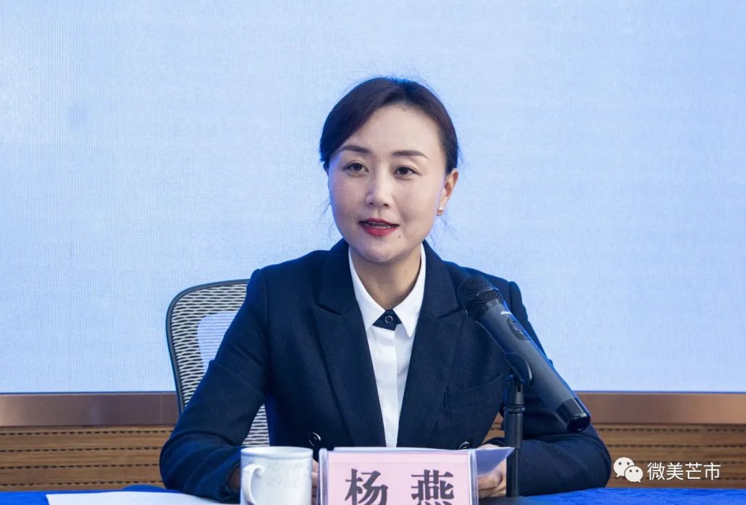 发布会上,芒市文旅局局长杨燕就芒市景区景点,特色线路,乡村旅游,特色