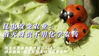 刘玉升昆虫改变农业（第1集）：消灭蚜虫不用化学农药！
