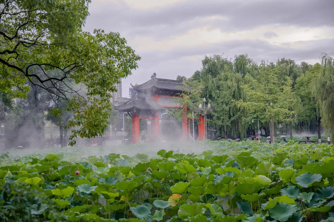 攝影:李楊雨單位:電子信息學院黃 金 屋攝影:劉可心單位:水利水電學院