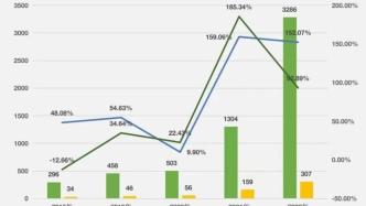 宁德时代的关键一战：高产能是双刃剑