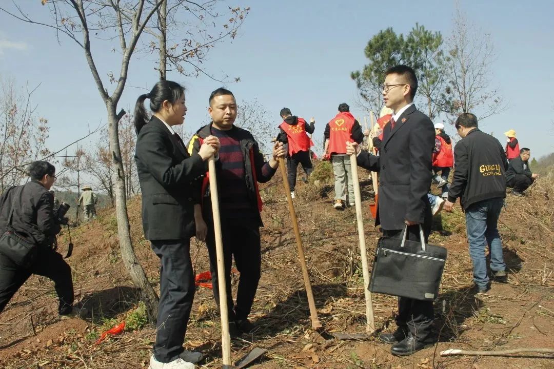 昔日“毁林者”成今日“种树人”_澎湃号·政务_澎湃新闻-The Paper