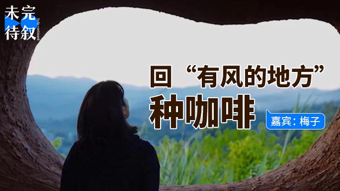 毕业回云南种咖啡，我的“风”是自己给的