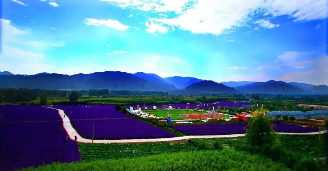 越国开心农场烟花图片