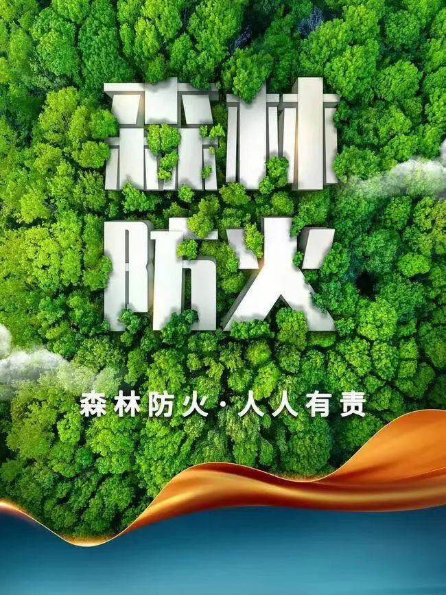 海报|森林防火 人人有责_澎湃号·政务_澎湃新闻-the paper