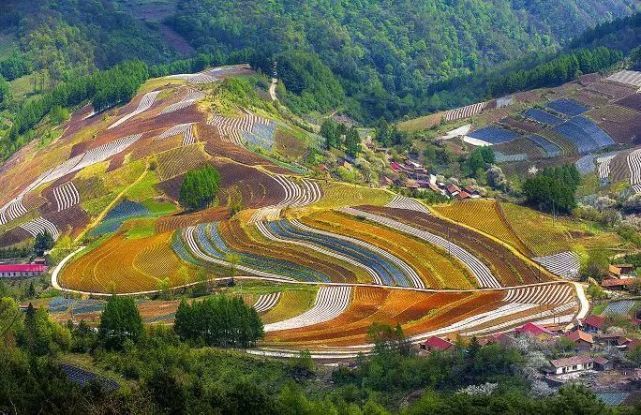 春天游白山之临江篇