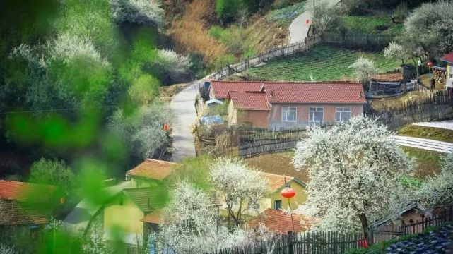 春天游白山之临江篇