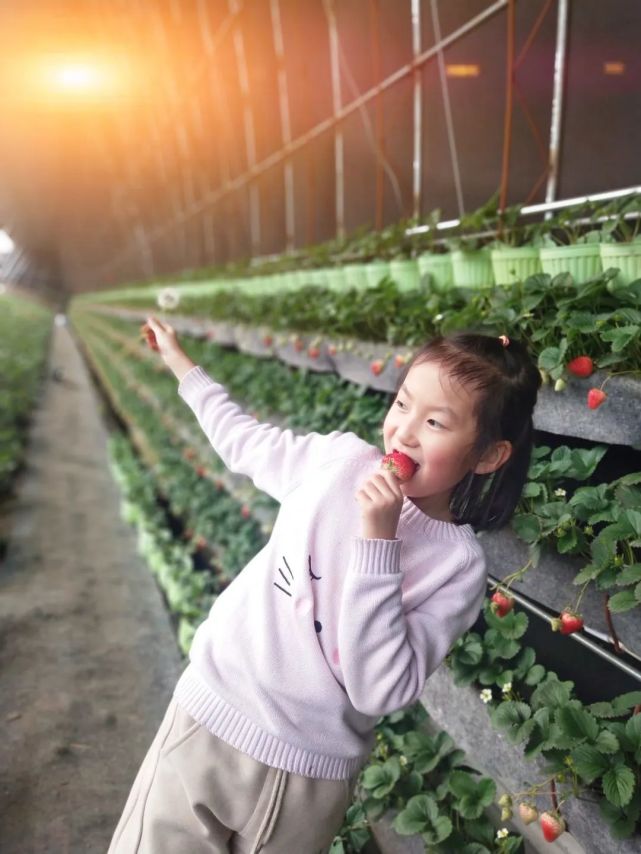 春天游白山之临江篇