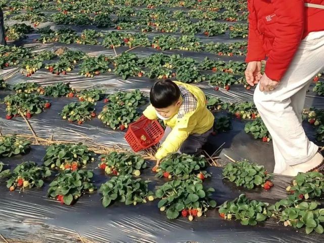 春天游白山之临江篇