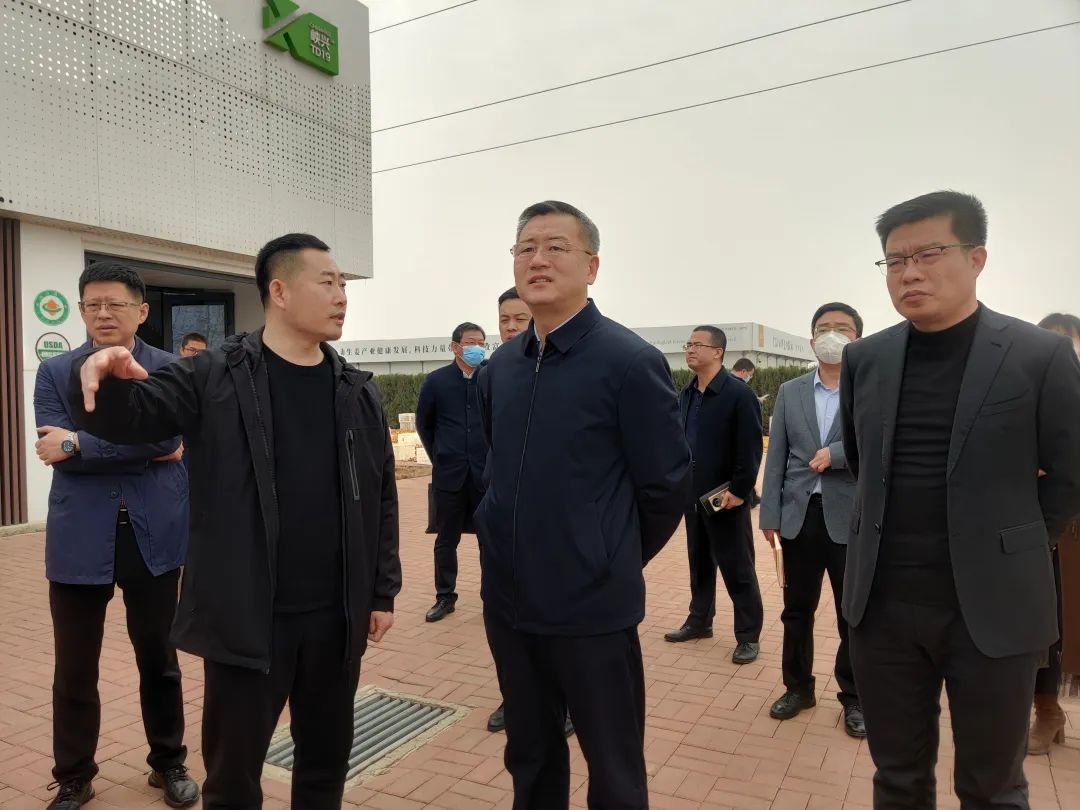 张龙江调研我区部分重点项目_澎湃号·政务_澎湃新闻-the paper