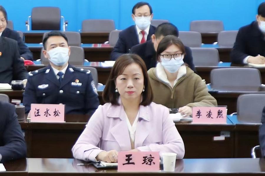 全国人大代表王琼在武汉海事法院分会场参加全国法院学习贯彻全国两会