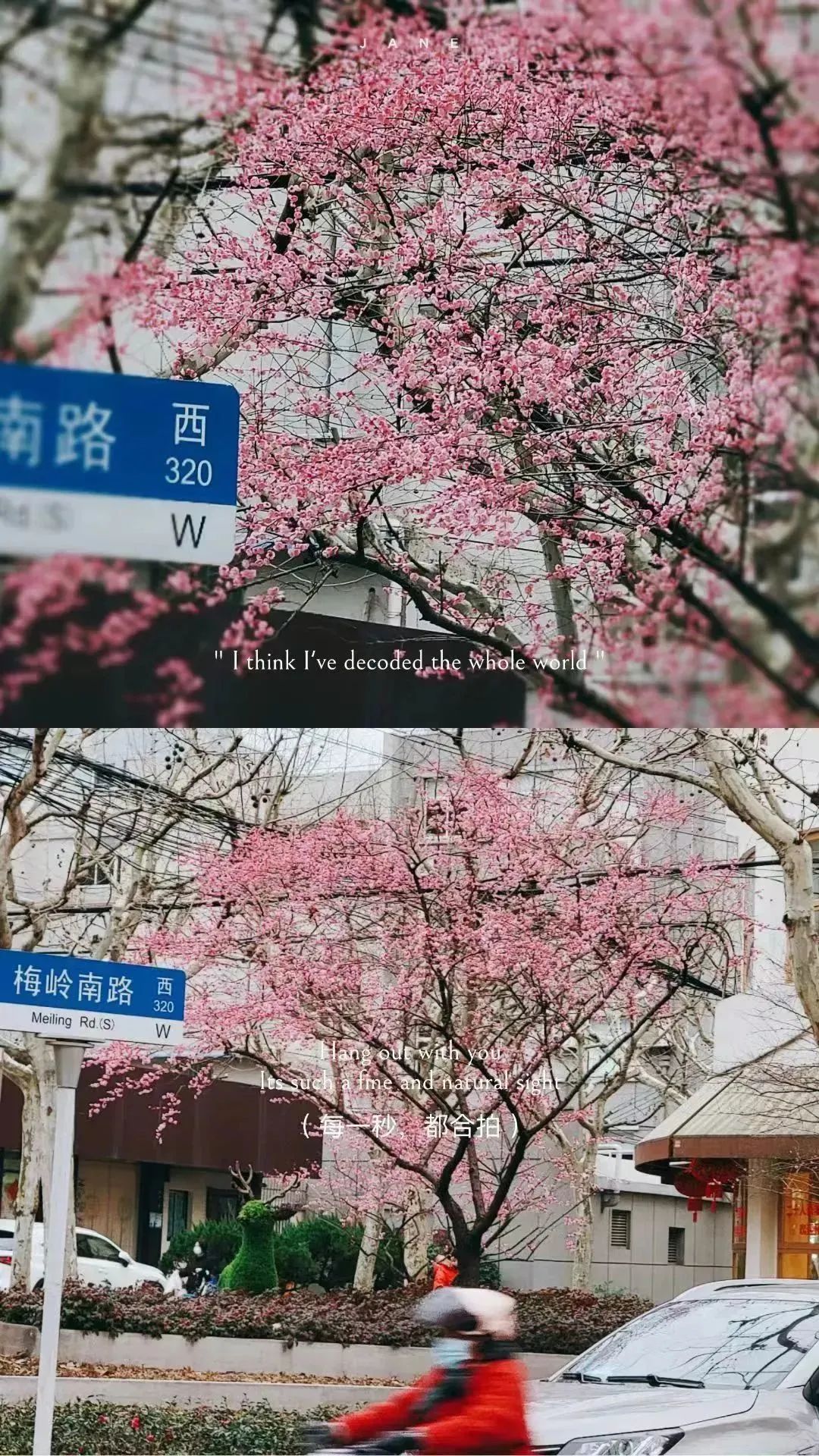 陕西南路路牌图片