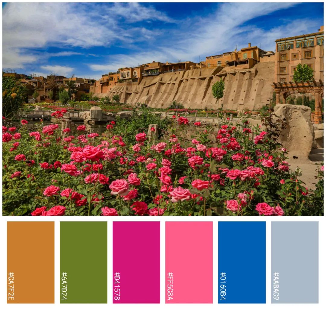 美!喀什的春日色卡