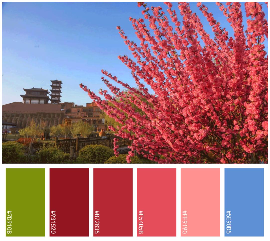 美!喀什的春日色卡