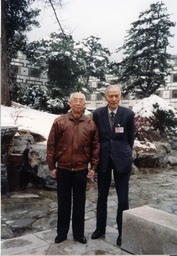 50年前,他忧深思远,为新能源研究破土奠基_澎湃号·政务_澎湃新闻-The Paper