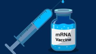 世界首个针对致命细菌的mRNA疫苗