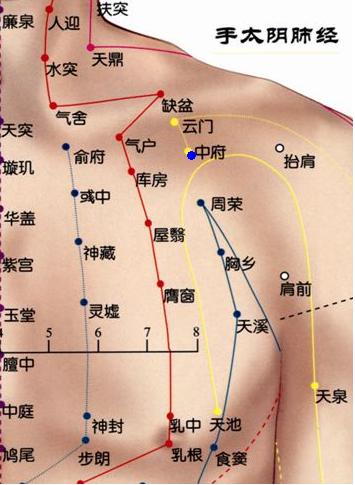 中府穴