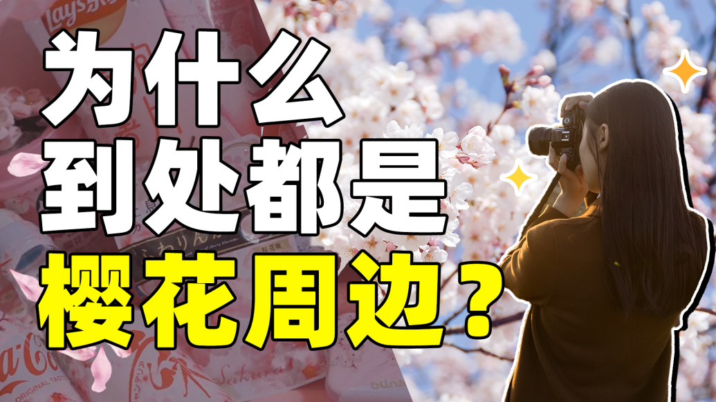 春天的花這么多，為什么櫻花成了頂流？