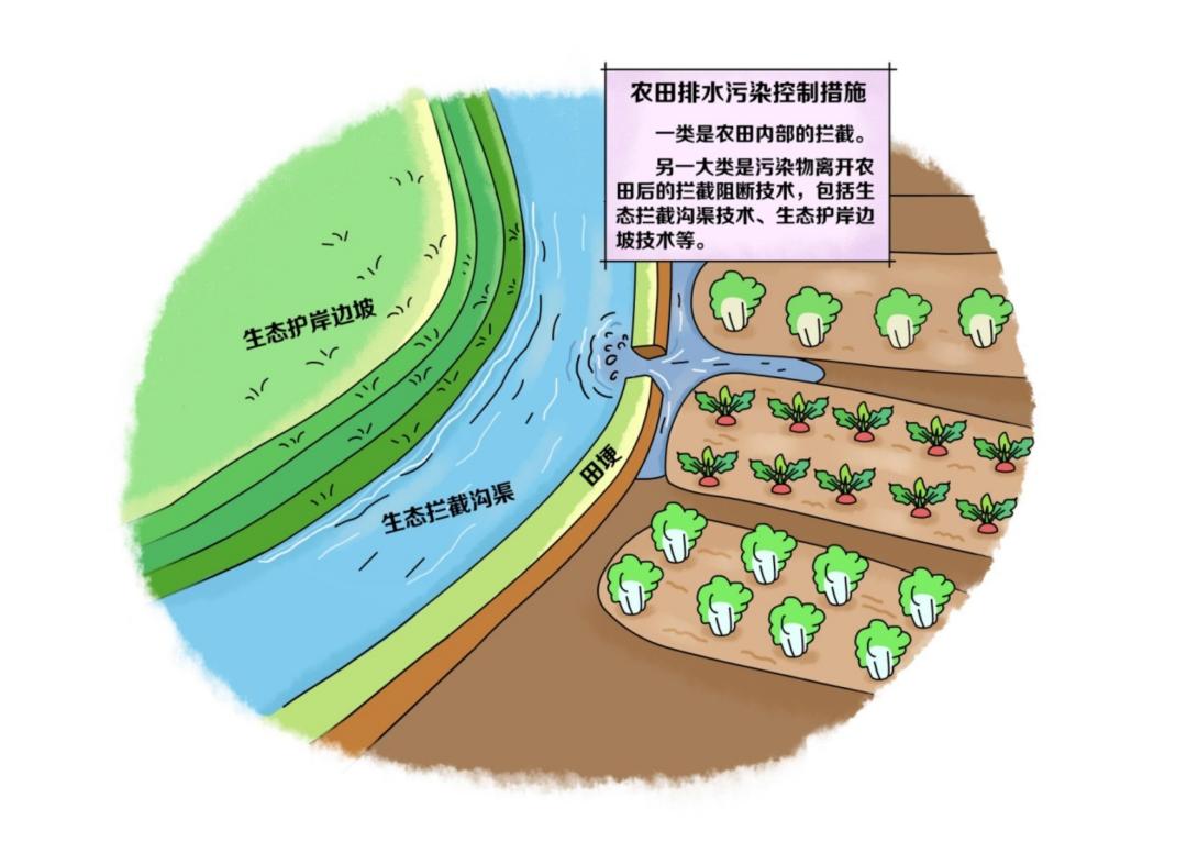 环保科普丨水环境——农田排水污染控制措施主要有哪些?