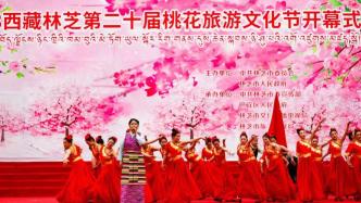 西藏林芝：桃花朵朵开 热闹一座城