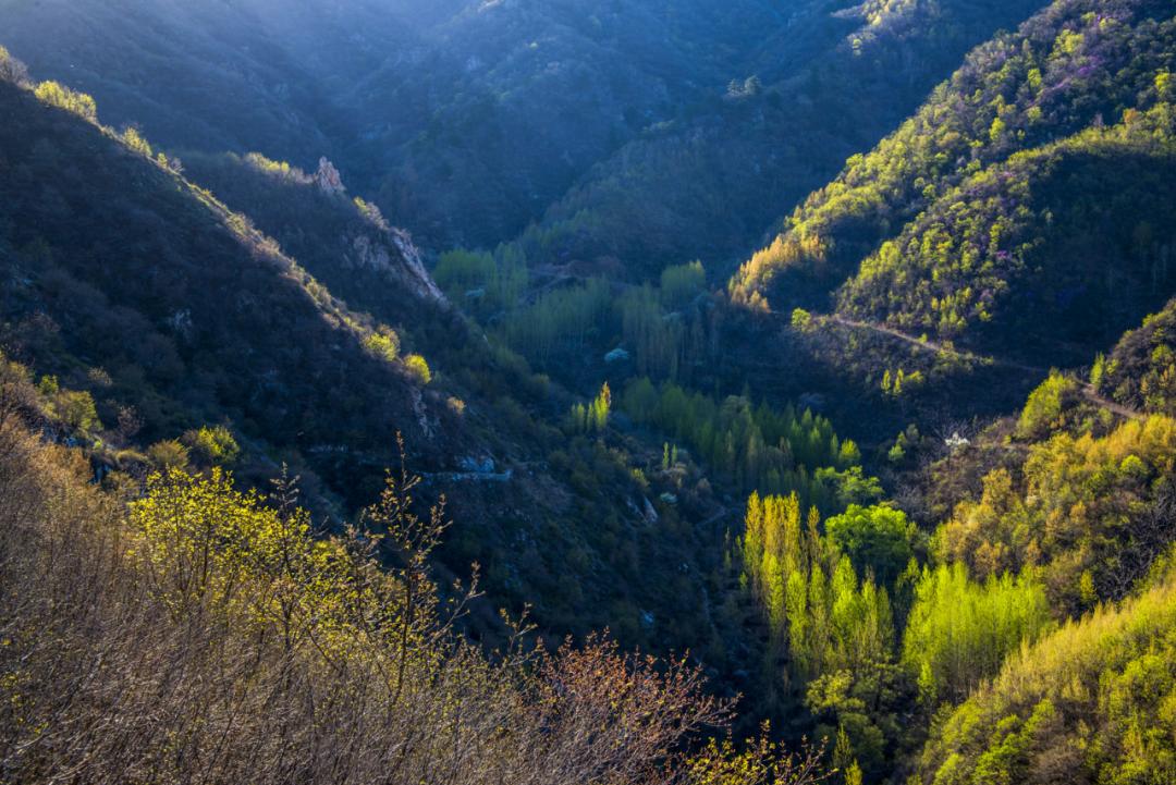 鹰手营子矿区寿王坟镇:深挖历史文化 打造旅游小镇_澎湃号·政务_澎湃