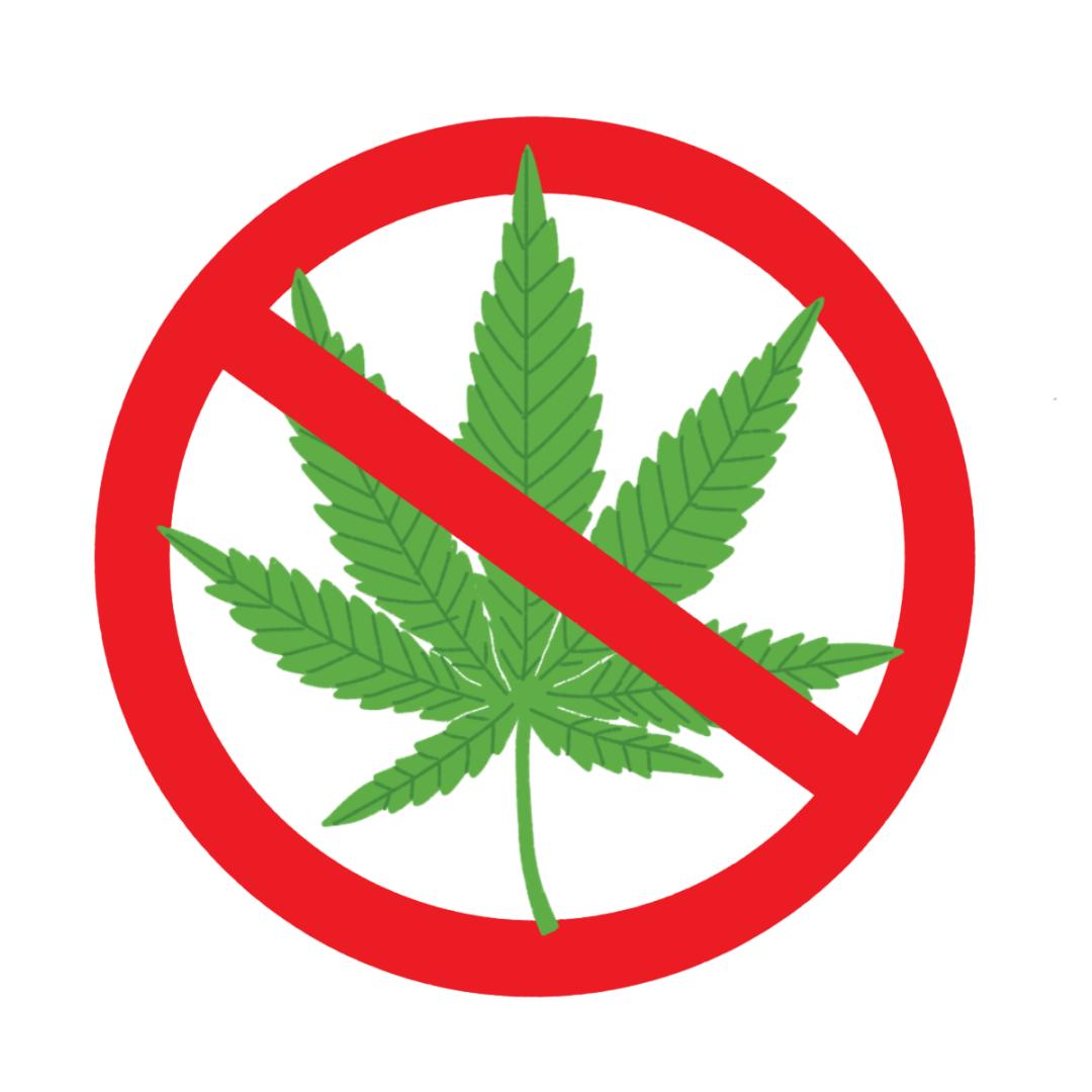 最高20万元,举报有奖!_澎湃号·政务_澎湃新闻-the paper