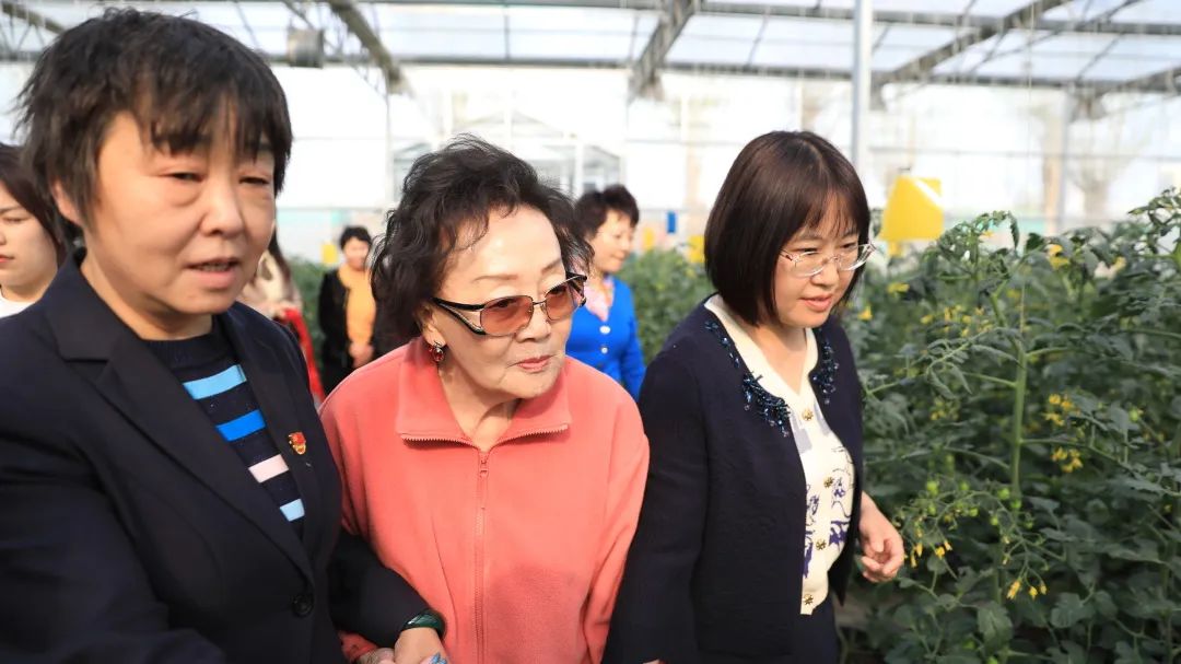 邂逅春日"莓"好,区妇联接待美国巾帼会会长张素久女士一行_澎湃号