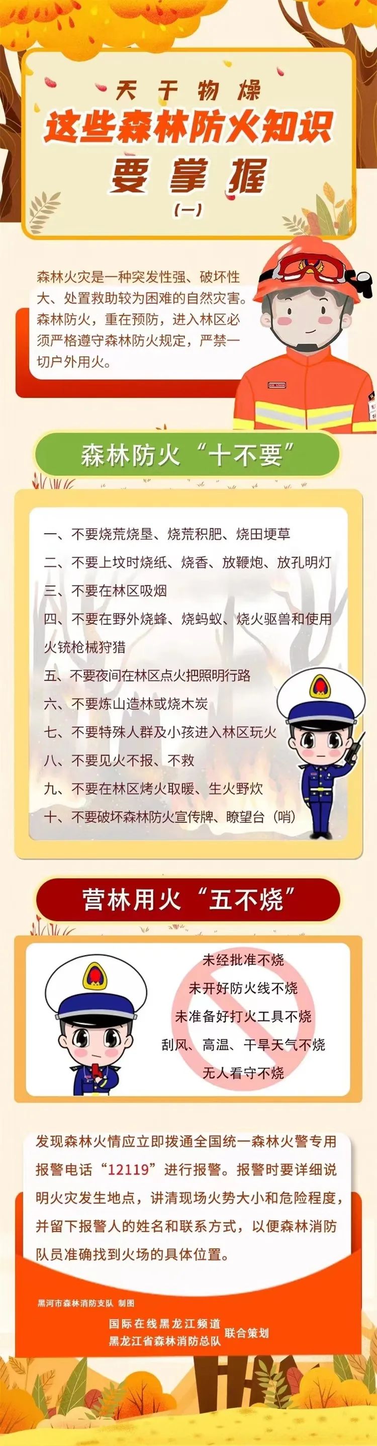 森林防火"十不要""五不烧"要记牢_澎湃号·政务_澎湃新闻-the paper