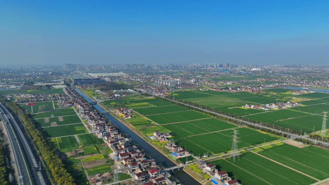 发现问题后,卢瑞根据张埭社区现状,积极探索发展新路径,新模式,将社区