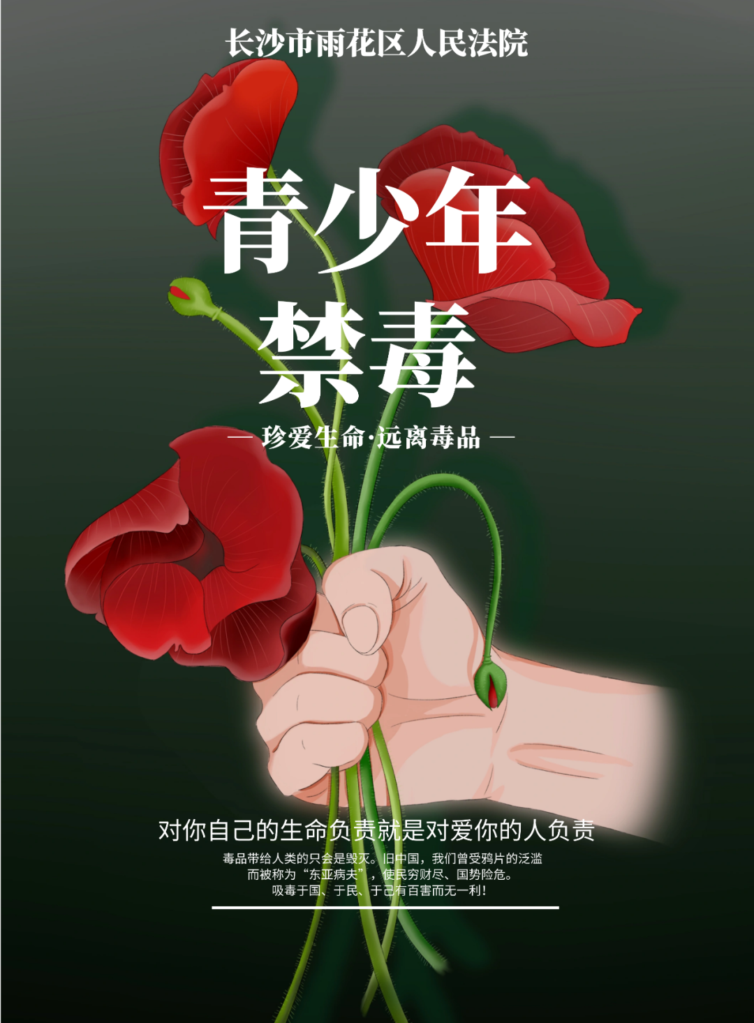 雨花区人民法院:坚决打赢禁毒"清源断流"硬仗_澎湃号·政务_澎湃新闻