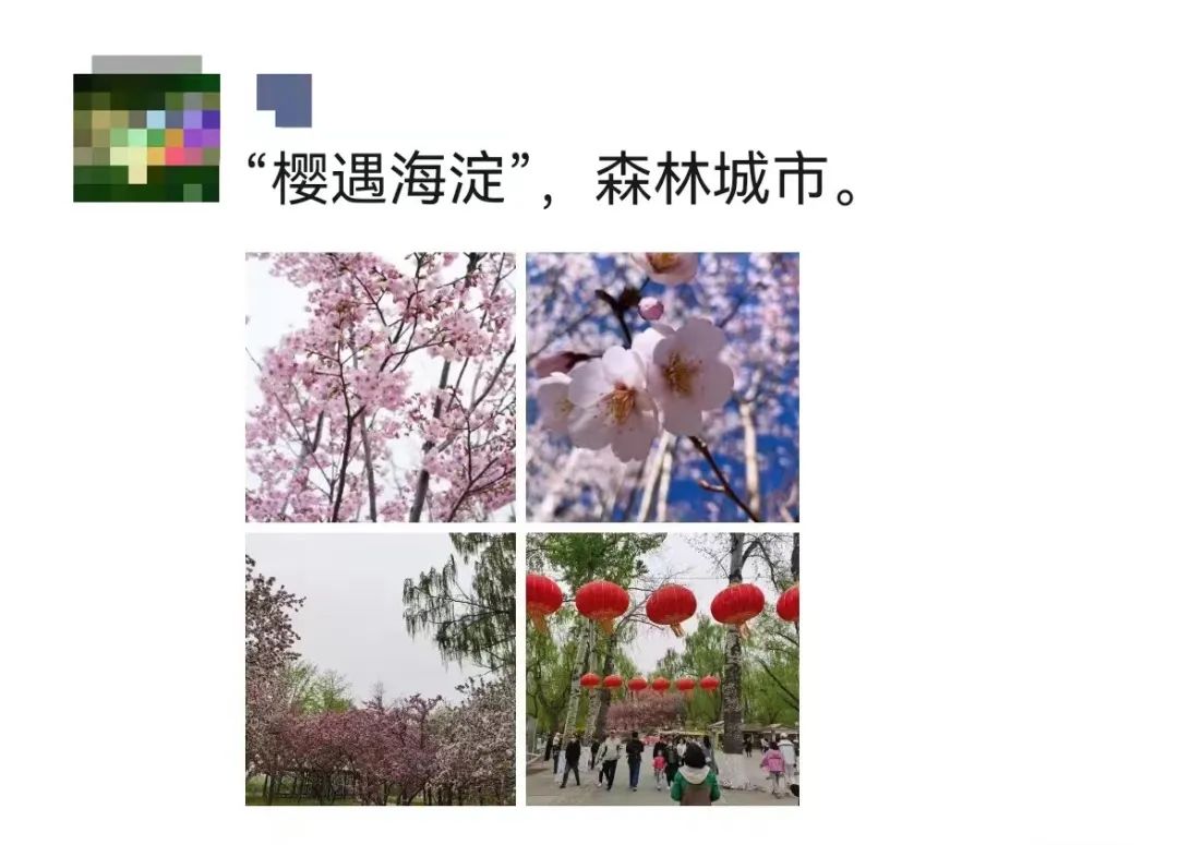 醉美玉渊潭：红红的灯笼，蓝蓝的天_北京日报APP新闻