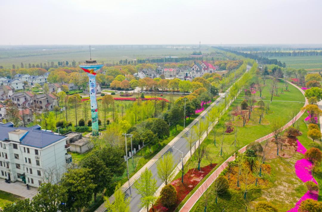 崇明乡间矗立的这些水塔是一个时代的纪念碑