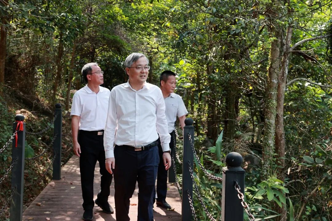 周红波赴三亚抱龙森林公园等地开展巡林工作_澎湃号