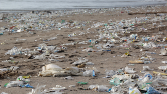 IUCN发布《无塑料废弃物岛屿蓝图》