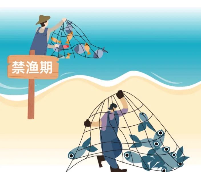 【龚法行】禁渔期千万别干这事,会被处罚_澎湃号·政务_澎湃新闻-the