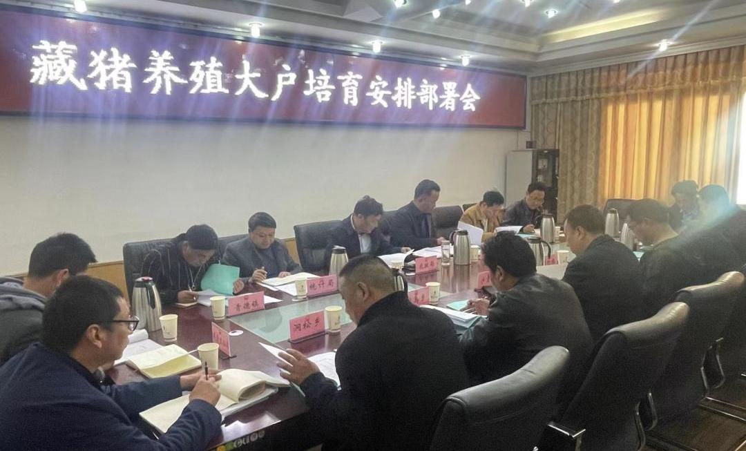 乡城县召开藏猪养殖大户培育安排部署会