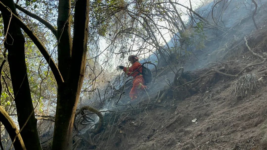 昆明市森林消防支队高效扑救红河州建水县曲江镇森林火灾