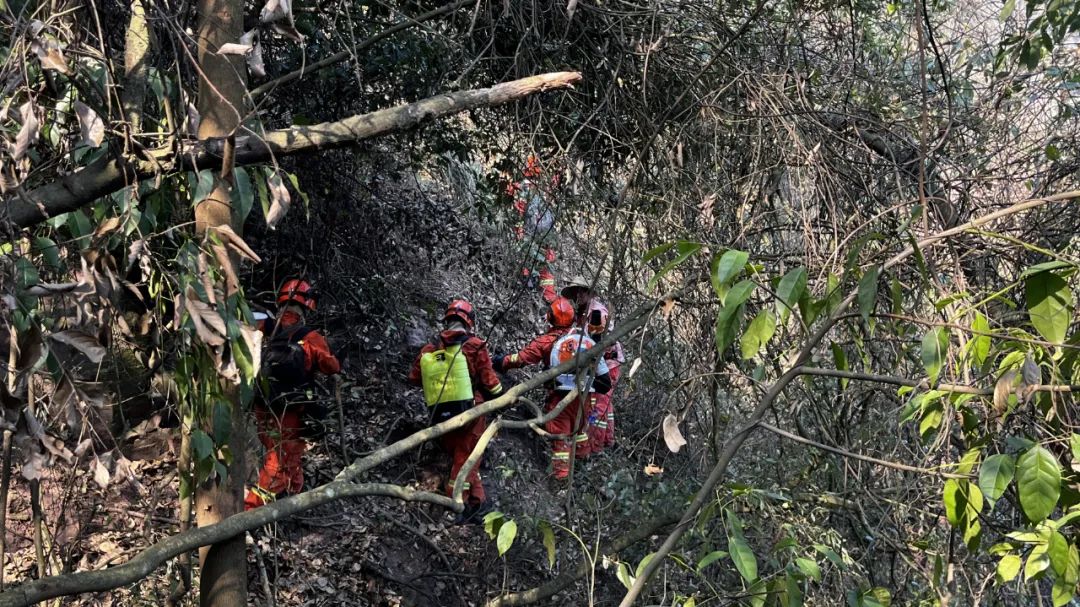 昆明市森林消防支队高效扑救红河州建水县曲江镇森林火灾