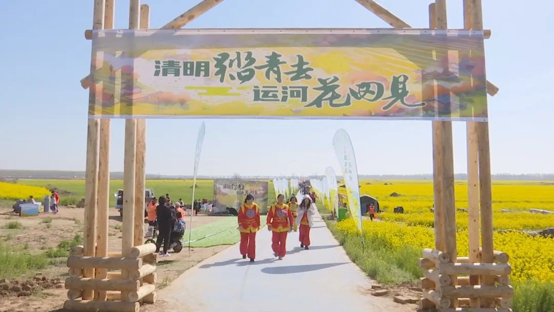 故城油菜花海地址图片