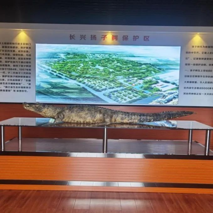 湖州首个“国家青少年自然教育绿色营地”为“儿童友好”增添新元素