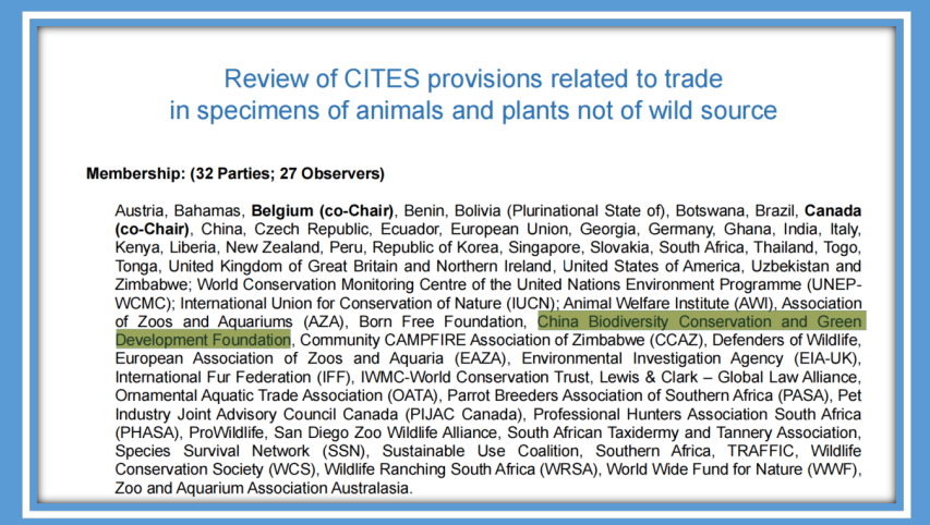 中国绿发会加入CITES常务委员会“审查CITES有关非野生动植物标本贸易的规定”闭会期间工作组