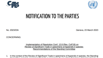 CITES常务委员会“执行关于审查附录II物种标本重大贸易的第12.8号决议”的建议