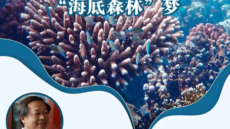 “珊瑚爸爸”陈宏与其培育的珊瑚亮相三亚创新发展主题展