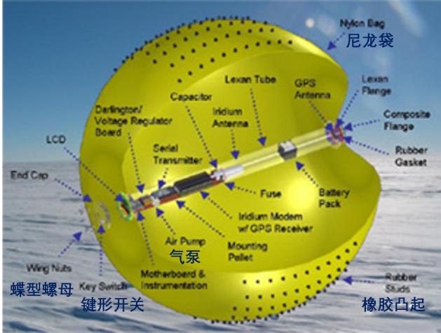 什么植物是靠风的力量传播种子（贵阳种子批发市场在哪里） 第7张