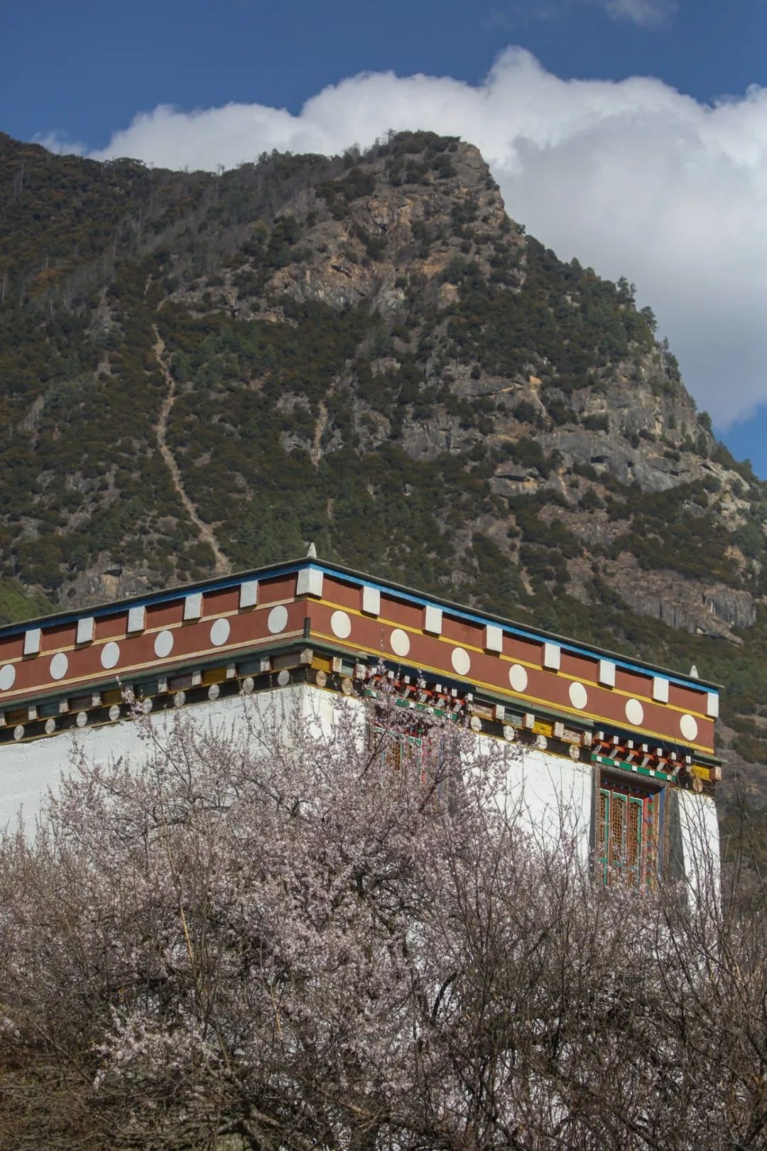 四川民族影像协会采风创作团队到乡城县开展采风创作活动_澎湃号